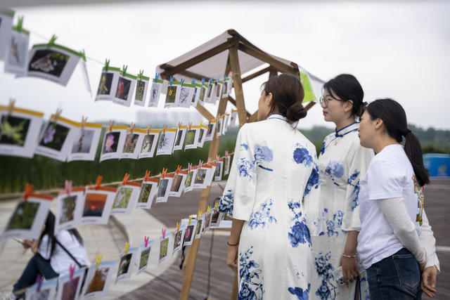 世界环境日 湖南 长沙 松雅湖 美丽中国 生态 