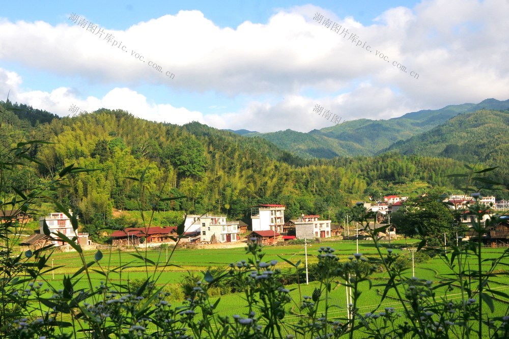 山村 画卷 崀山 民居