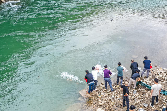 增殖放流 水生态 鱼苗 水环境 水库  生态文明 多样性