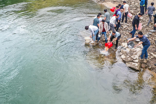 增殖放流 水生态 鱼苗 水环境 水库  生态文明 多样性