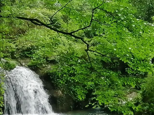 美景 山水 旅游 养性