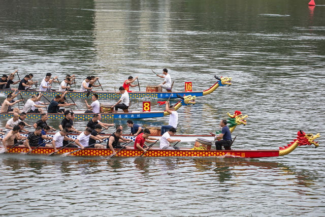 端午划龙舟
