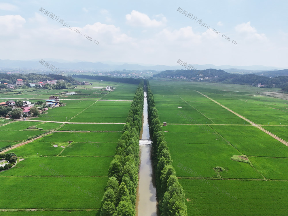 和美  乡村  风景  田园  自然  旅游  画卷