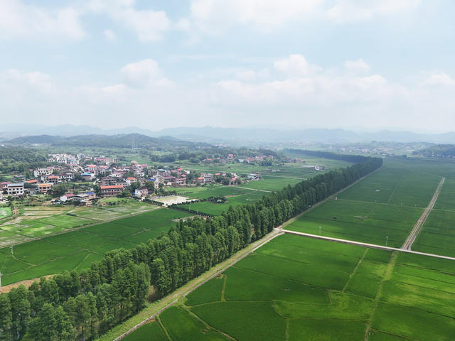 和美  乡村  风景  田园  自然  旅游  画卷