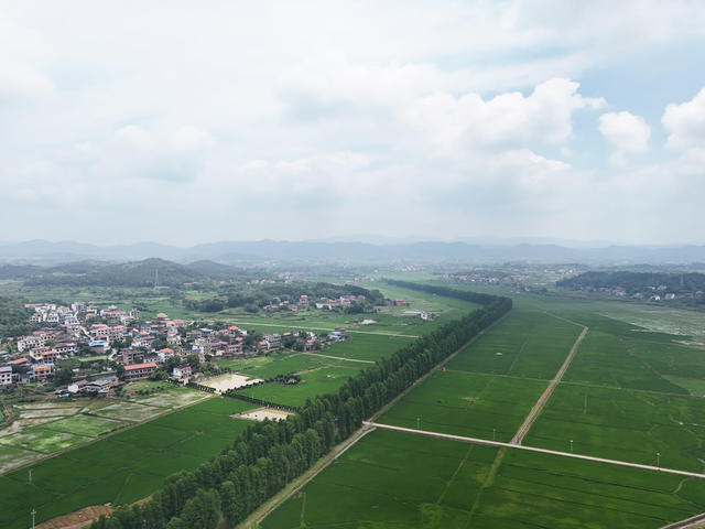 和美  乡村  风景  田园  自然  旅游  画卷