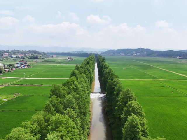 和美  乡村  风景  田园  自然  旅游  画卷