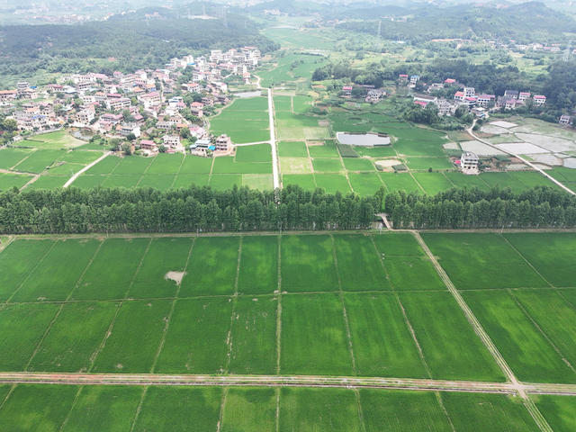 和美  乡村  风景  田园  自然  旅游  画卷