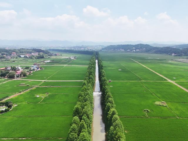 和美  乡村  风景  田园  自然  旅游  画卷
