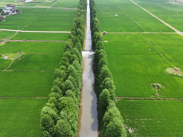 和美  乡村  风景  田园  自然  旅游  画卷