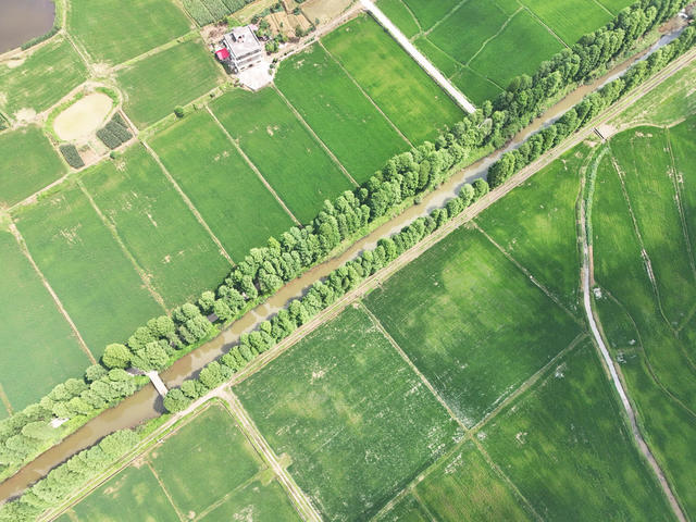 和美  乡村  风景  田园  自然  旅游  画卷