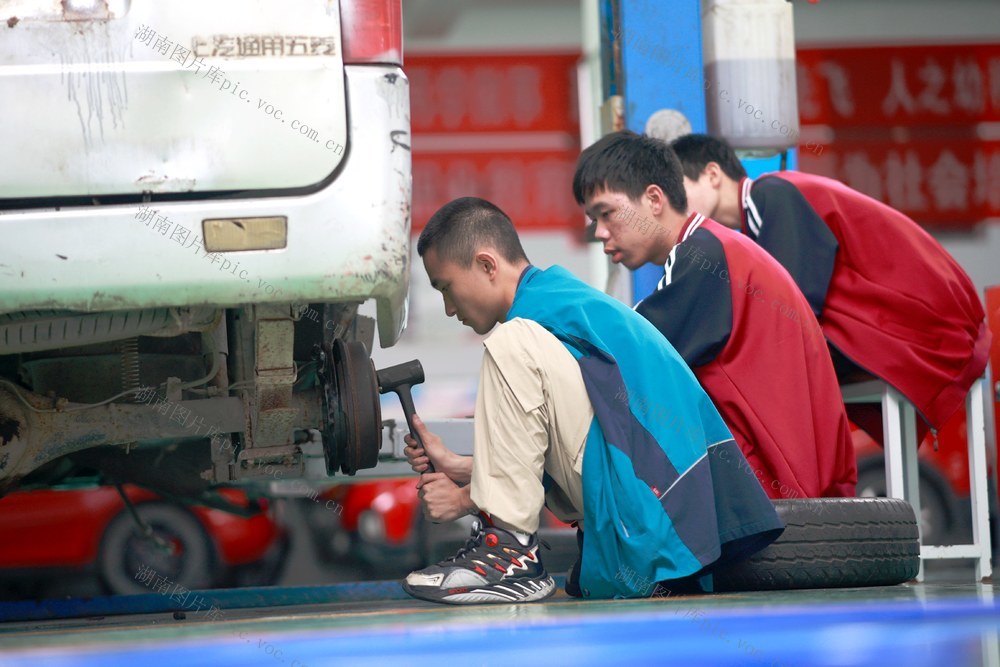 职业教育、技能、学校、产教融合、就业