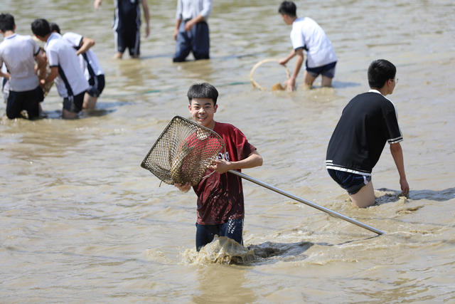 塘鱼 端午 学生