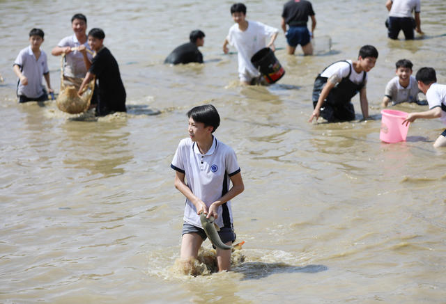 塘鱼 端午 学生