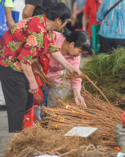 端午节
道县