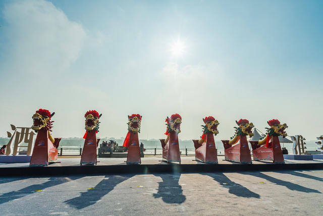 汨罗  汨罗江  龙舟  端午  龙  游客  比赛  热闹