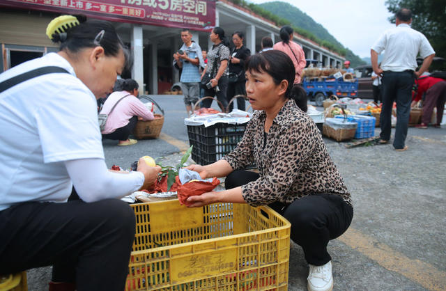 湖南资兴市 东江湖 大坝码头 水果 
