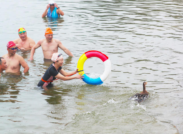 端午  抓鸭子  比赛   习俗