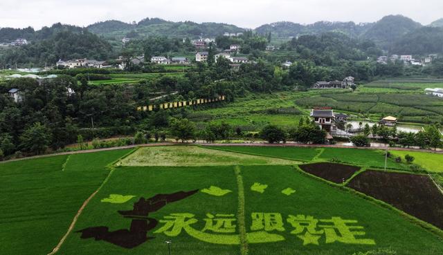 张家界 武陵源 协合乡 李家岗村