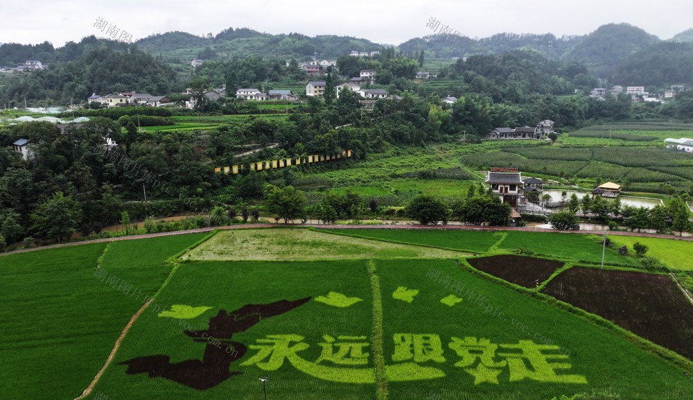 张家界 武陵源 协合乡 李家岗村