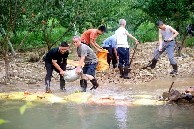 防汛、党员、志愿者、抗洪、服务群众