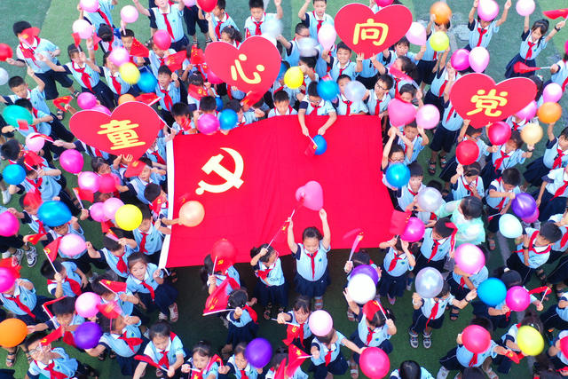嘉禾：与党旗合影