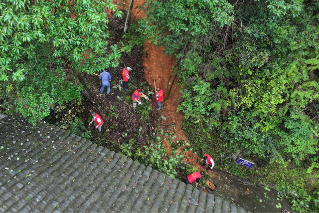党员 防汛 抢险 救灾 冲锋在前 构筑 坚强 防线