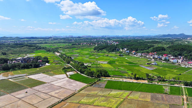 乡村
美景