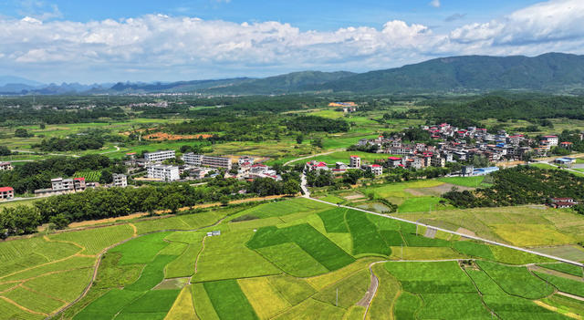 乡村
美景