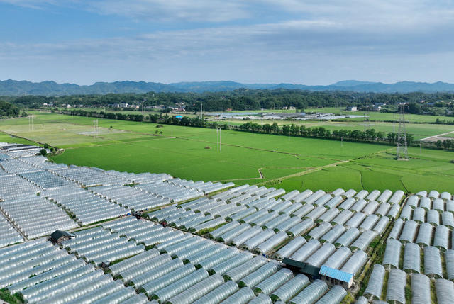 田园葱茏生态美