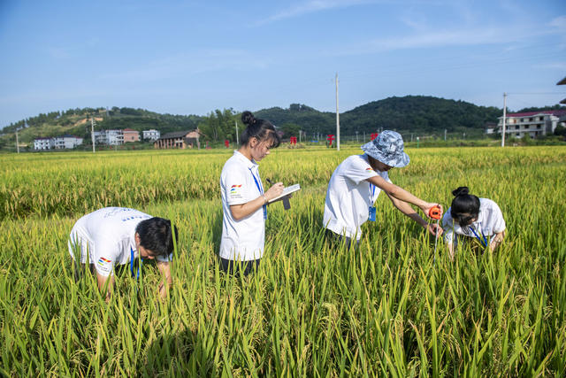 娄底 暑期 三下乡 社会实践 大学生