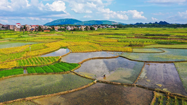 田园  多彩  人勤  景美