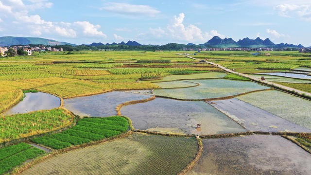 田园  多彩  人勤  景美