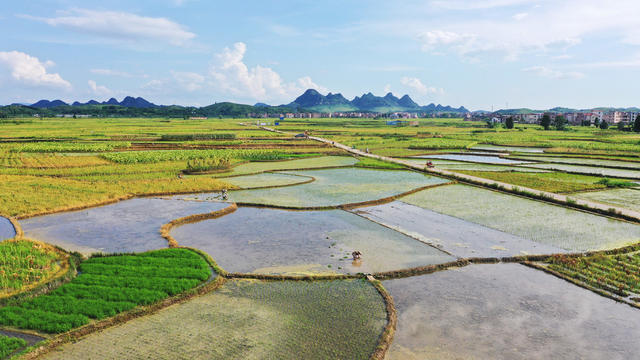 田园  多彩  人勤  景美