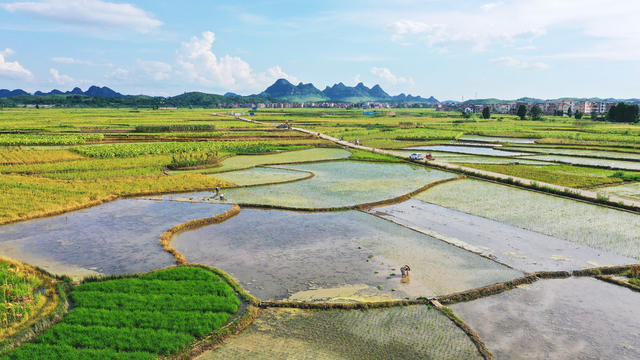 田园  多彩  人勤  景美