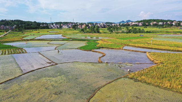 田园  多彩  人勤  景美