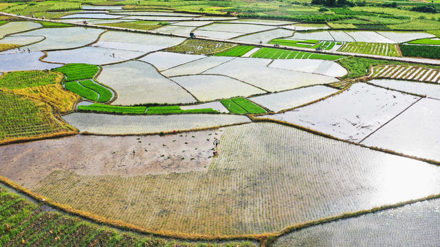田园  多彩  人勤  景美