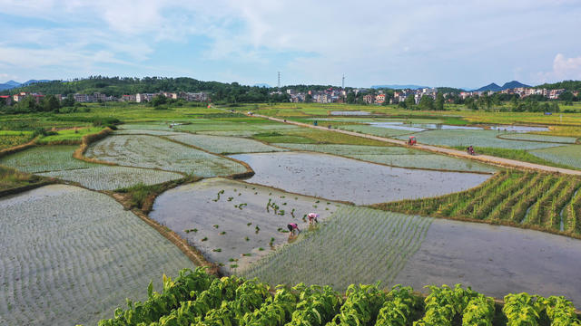 田园  多彩  人勤  景美