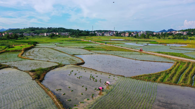 田园  多彩  人勤  景美