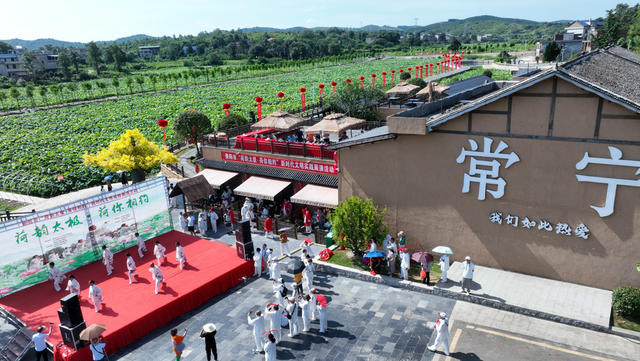 农旅融合、荷花、太极