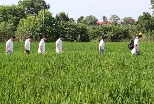生态 修复 大学生 三下乡 博士团