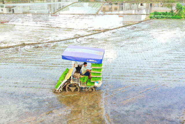 嘉禾：农机助力“双抢”