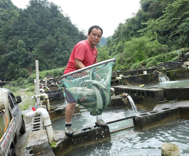 特色生态养殖助农增收