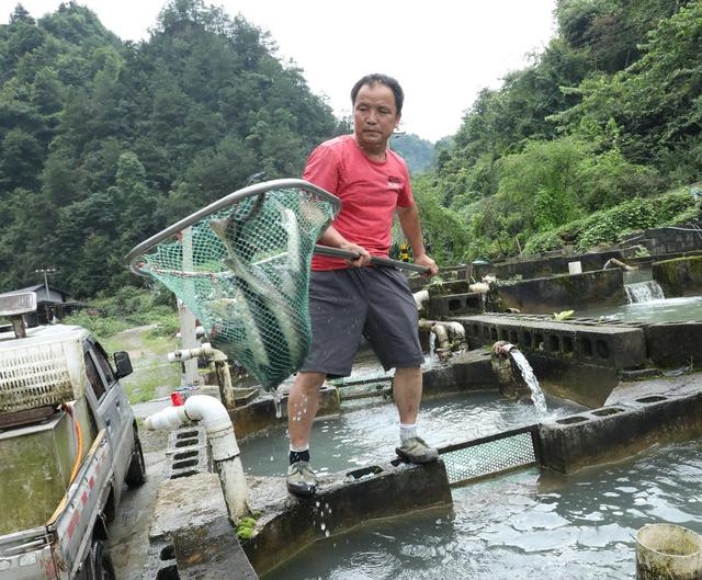 特色生态养殖助农增收