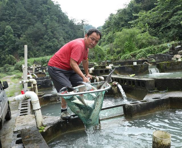 特色生态养殖助农增收