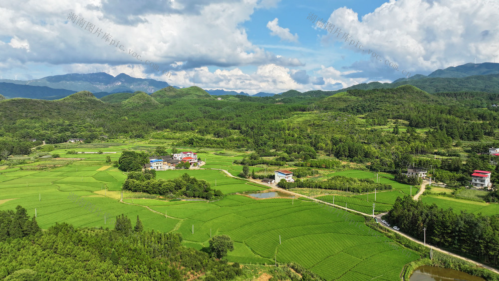 乡村 美景