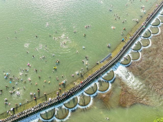 生态
道县
夏日戏水
