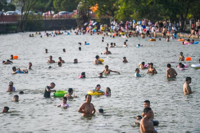 生态
道县
夏日戏水

