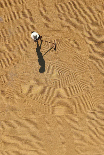 早稻 收割 晚稻 插秧 双抢