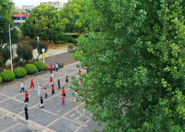 嘉禾：“口袋公园”快乐晨练