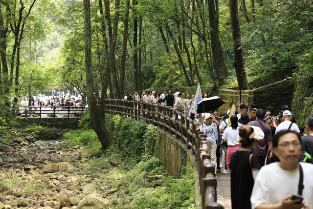 张家界 暑期  旅游  旺季